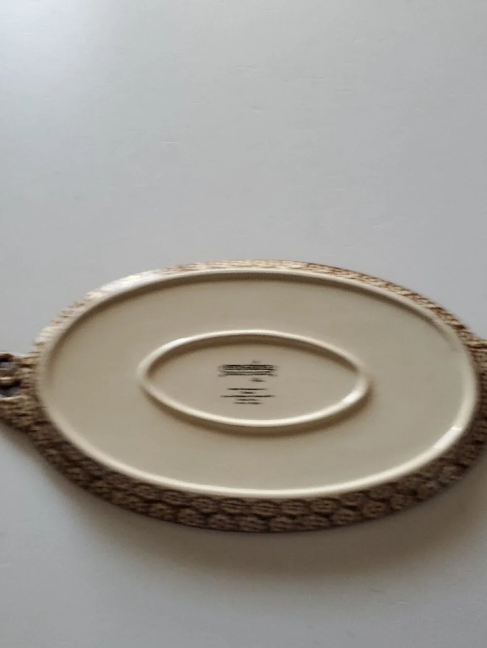 Temp-Tations Cream and Brown Floral Pattern  Soup bowlwith Matching Tray.